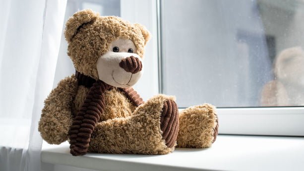Teddy Bear