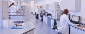 What is the difference between REACH and California Proposition 65?