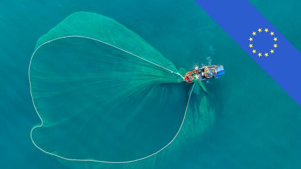 Fishing Gear Regulations in the European Union