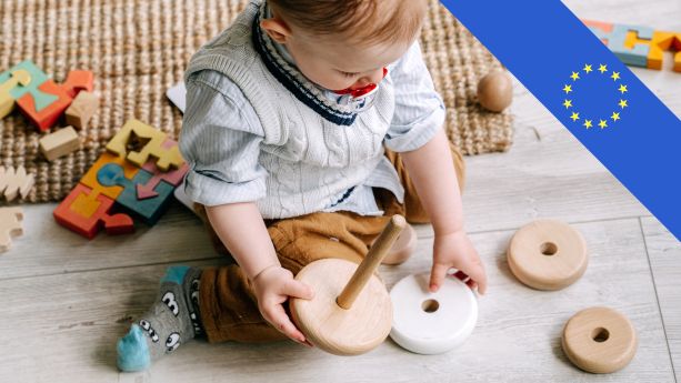EU Toy Safety Regulation
