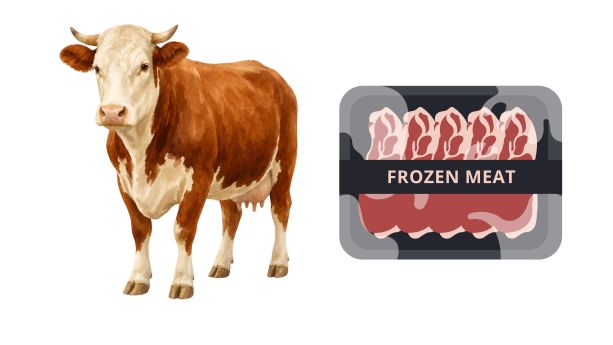 EUDR Cattle