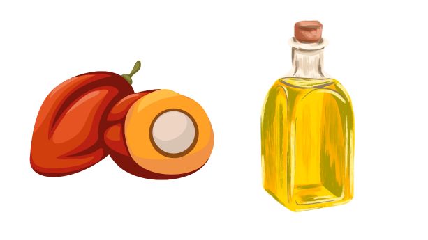 EUDR Palm Oil